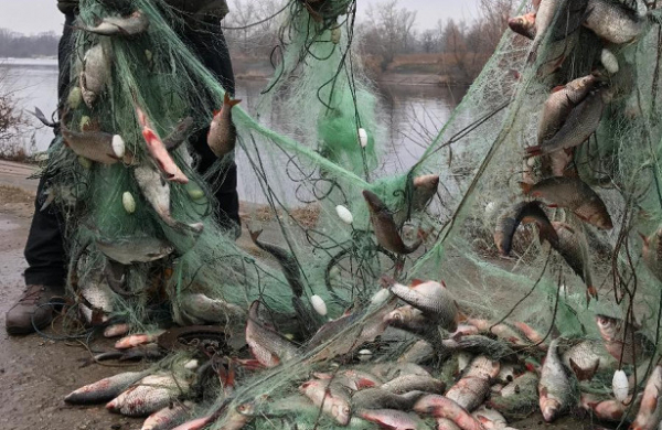 <br />
Сотрудники ПУ ФСБ России по Краснодарскому краю выявили местного жителя, незаконно добывающего водные биоресурсы<br />
