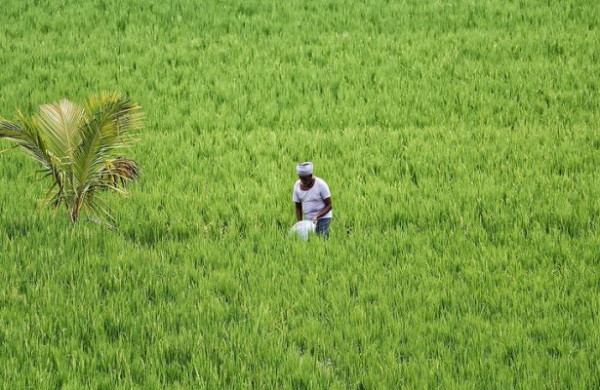 <br />
Сбудутся ли планы Индии стать новым мировым центром по экспорту пестицидов<br />
