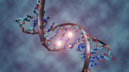 Исследователи обнаружили сложный процесс восстановления ДНК в геноме
